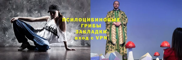 дмт Кодинск
