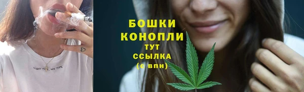 дмт Козловка