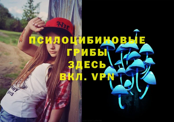 дмт Кодинск